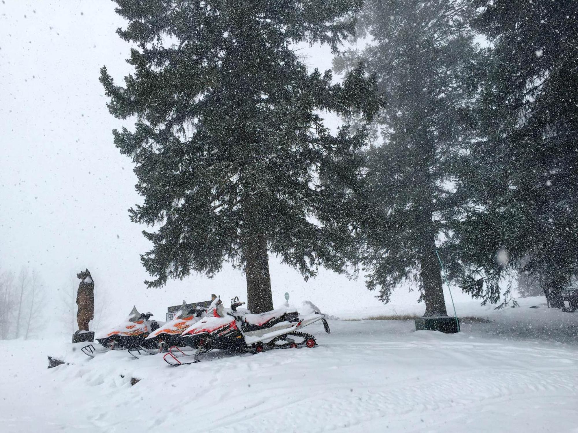 Arrowhead Mountain Lodge Cimarron 部屋 写真